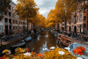 Autumn is a great time to visit Amsterdam. Here we take you through the best things to do in Amsterdam in Autumn and why you should visit now!