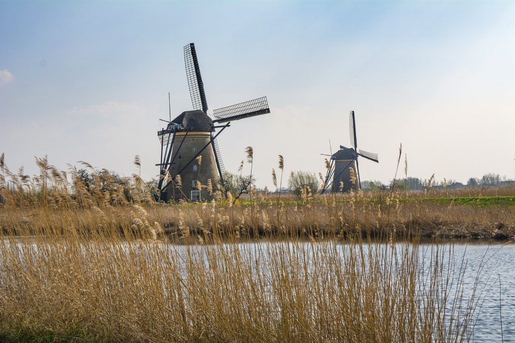 Windmill tour Amsterdam